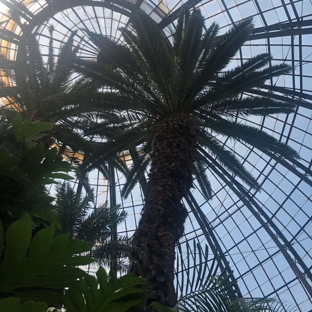 Meet your Posher, Haley